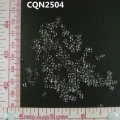 CQN2504
