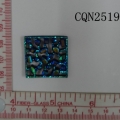 CQN2519