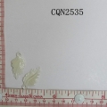 CQN2535