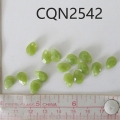 CQN2542