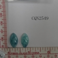 CQN2549
