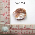 CQN2554