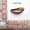 CQN2556