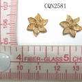 CQN2581