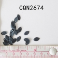 CQN2674