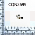 CQN2699
