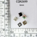 CQN2699