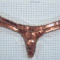 CSH0004