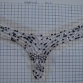 CSH0005-COL2