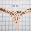 CSH0013.2