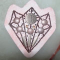 CSH0019