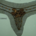 CSH0042.2