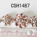 CSH1487