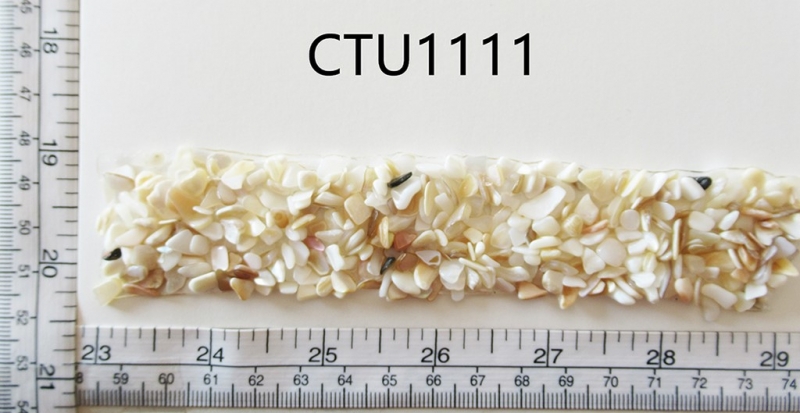CTU1111