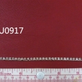CTU0917
