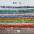 CTU1031