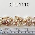 CTU1110
