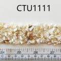 CTU1111