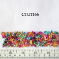 CTU1166