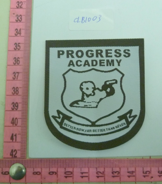 CLB1003