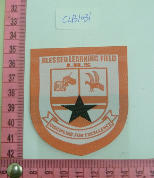 CLB1031