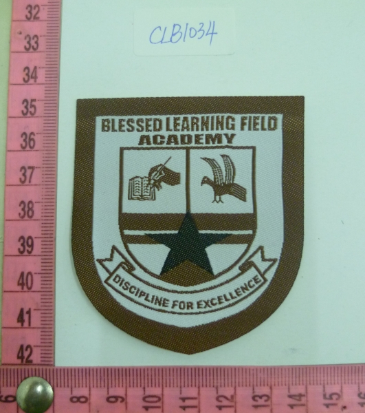 CLB1034