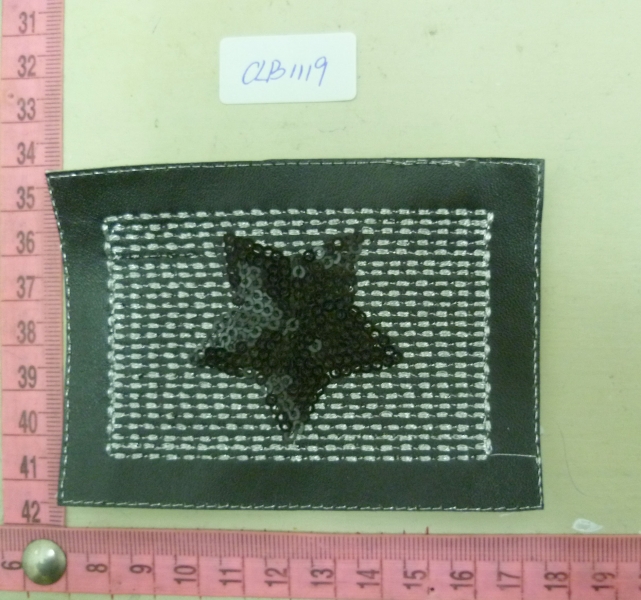 CLB1119