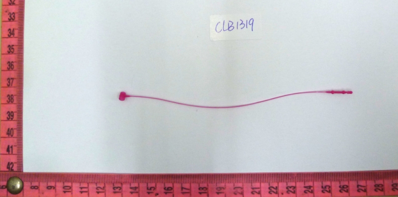 CLB1319