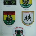 CLB0331-0335