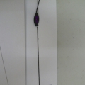 CLB0773