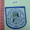 CLB1100