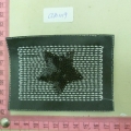 CLB1119