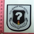 CLB1135