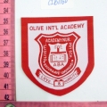 CLB1160