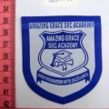 CLB1196