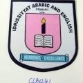 CLB1241