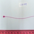 CLB1319
