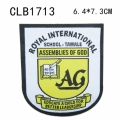 CLB1713