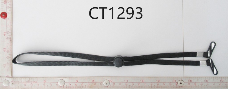 CT1293