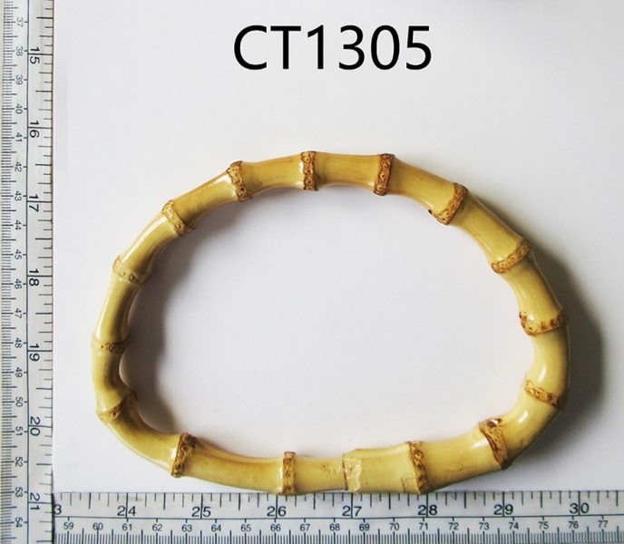 CT1305