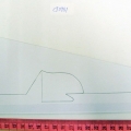 CT0981