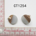 CT1254