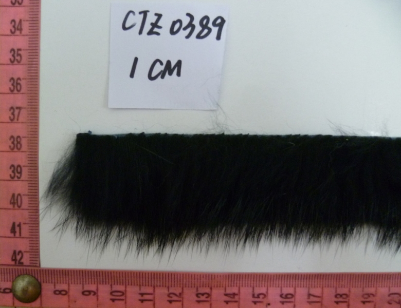CTZ0389