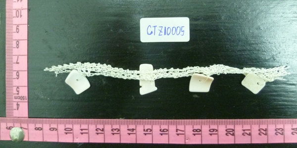 CTZ10005