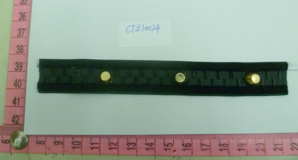 CTZ10024