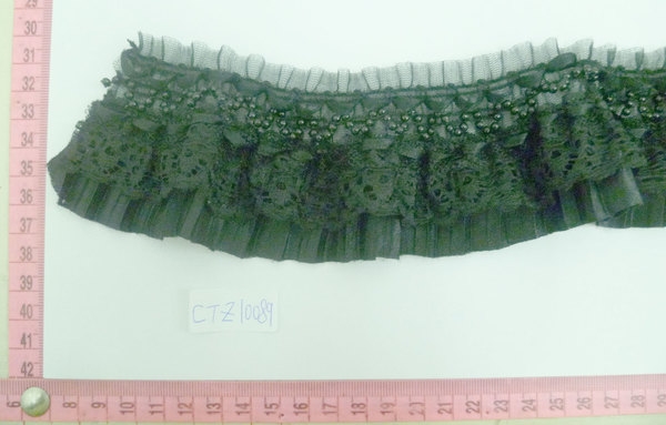 CTZ10089