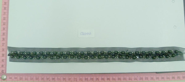 CTZ10102