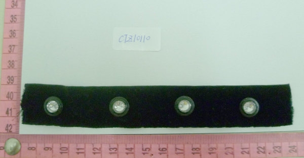 CTZ10110