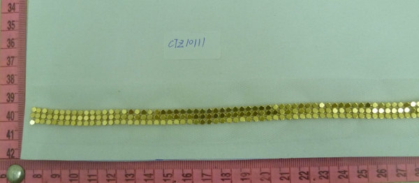 CTZ10111