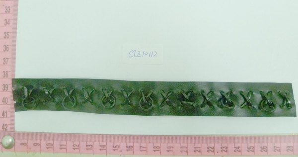 CTZ10112
